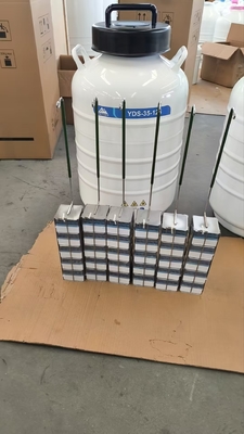 คุณภาพ  Portable Liquid Nitrogen Dry Shipper – Safe Transport of Cells and Tissues โรงงาน