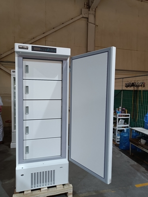 MDF-40V328E -40 °C Biomedical Deep Freezer จริงๆ 328L ติดตั้งแพทย์ Freezer สําหรับวัคซีน, เลือดและตัวอย่างชีวภาพ